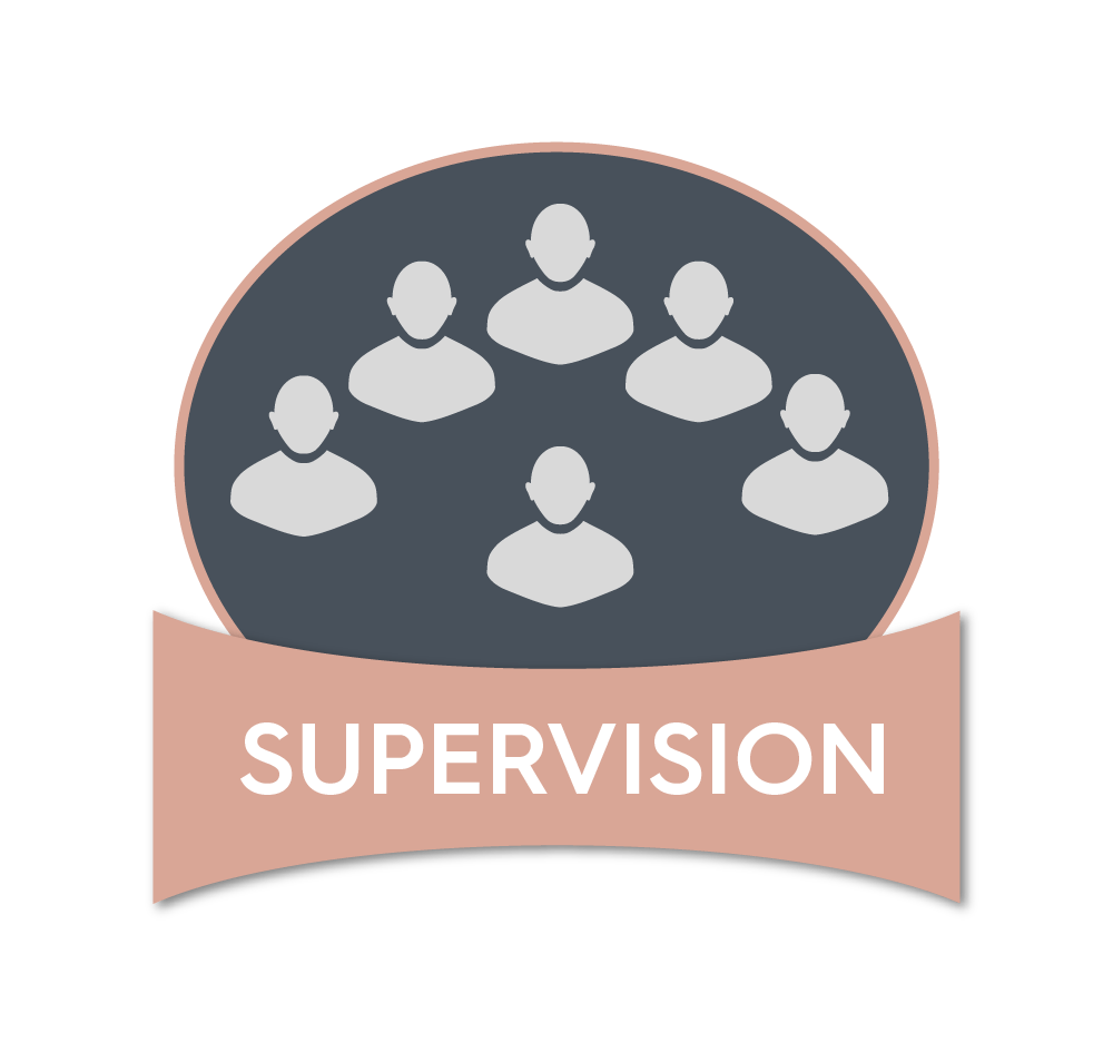 formation-anik-lamborelle-icon-supervision